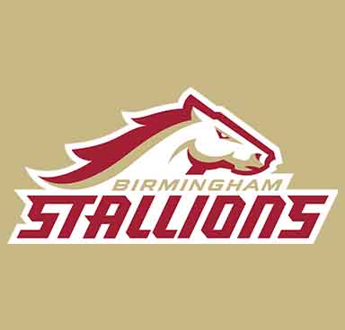 Stallions logo